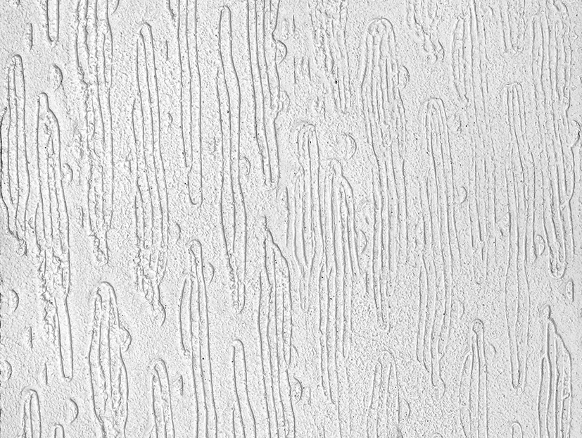 Штукатурка моделируемая ОСНОВИТ ЭКСТЕРВЭЛЛ, 25 кг